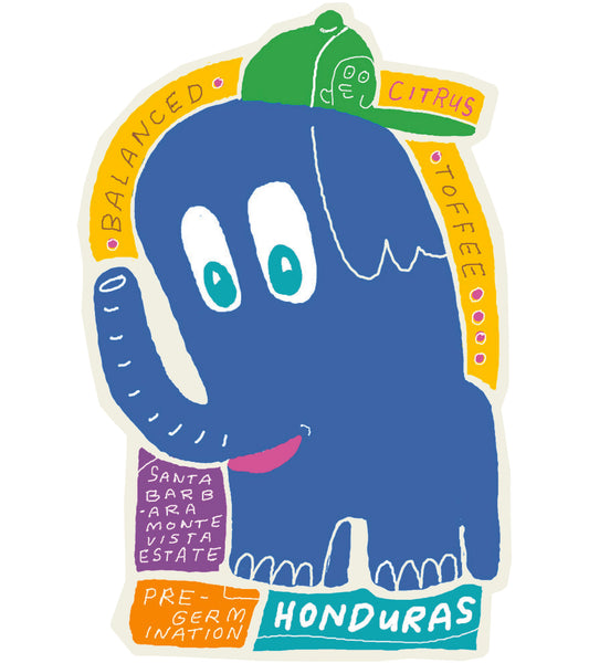 Monte Vista - Honduras  (Washed)